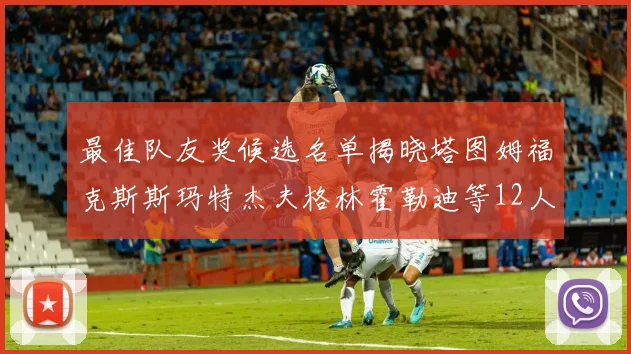 最佳队友奖候选名单揭晓塔图姆福克斯斯玛特杰夫格林霍勒迪等12人争夺荣耀