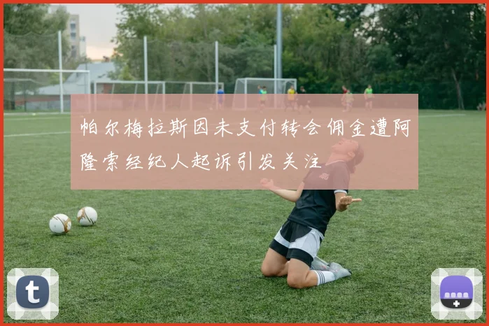 帕尔梅拉斯因未支付转会佣金遭阿隆索经纪人起诉引发关注